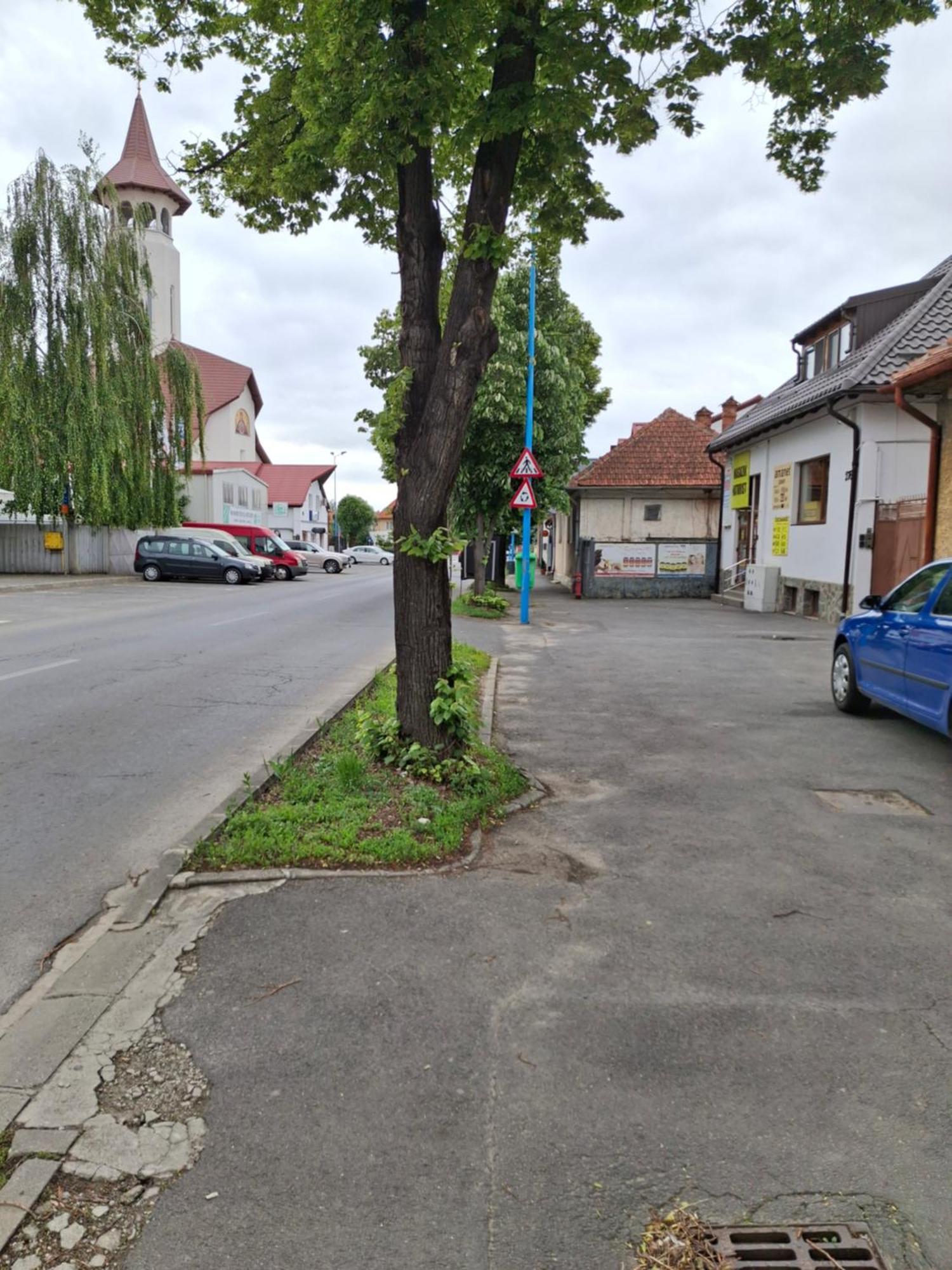 Clar Studio 1 Braşov Buitenkant foto